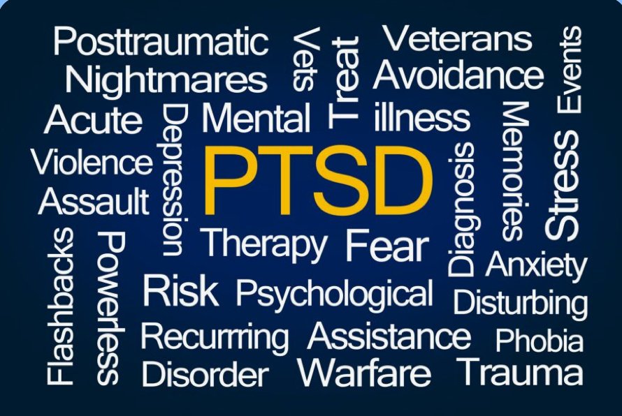 What Causes PTSD? Exploring the Role of Trauma and Stress